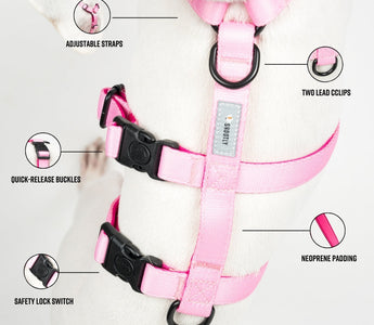 Meet the Houdini Harness: No More Escaping Iggies or Whippets