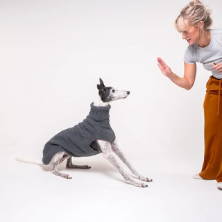 It's finally here: Greyhound Coats, Sweaters Australia | Snootly