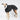 Whippet Winter Coat in Black