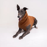 Greyhound dog wearing Snootly fluffy reversible sleeveless sweater in caramel on white background