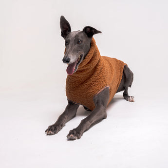 Greyhound dog wearing Snootly fluffy reversible sleeveless sweater in caramel on white background