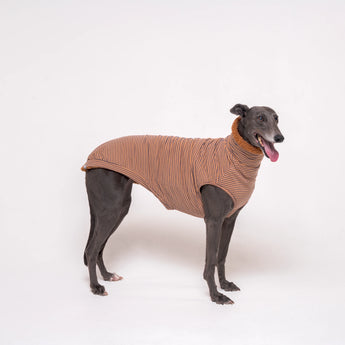 Greyhound dog wearing Snootly fluffy reversible sleeveless sweater in caramel on white background