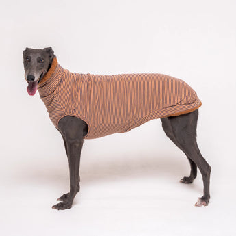 Greyhound dog wearing Snootly fluffy reversible sleeveless sweater in caramel on white background
