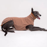 Greyhound dog wearing Snootly fluffy reversible sleeveless sweater in caramel on white background