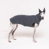Greyhound dog wearing Snootly fluffy reversible sleeveless sweater in charcoal grey on white background