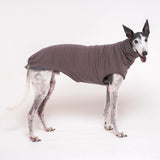 Greyhound dog wearing Snootly fluffy reversible sleeveless sweater in charcoal grey on white background