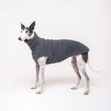 Greyhound dog wearing Snootly fluffy reversible sleeveless sweater in charcoal grey on white background