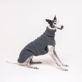 Greyhound dog wearing Snootly fluffy reversible sleeveless sweater in charcoal grey on white background