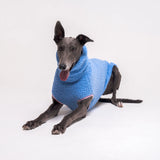 Greyhound dog wearing Snootly fluffy reversible sleeveless sweater in cornflower blue on white background