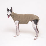Greyhound dog wearing Snootly fluffy reversible sleeveless sweater in khaki green on white background