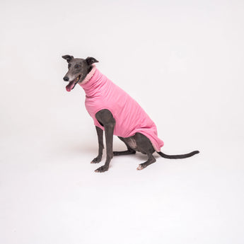 Greyhound dog wearing Snootly fluffy reversible sleeveless sweater in marshmallow pink on white background