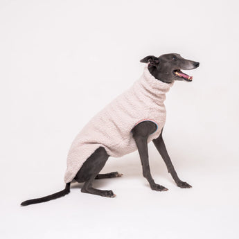 Greyhound dog wearing Snootly fluffy reversible sleeveless sweater in vanilla on white background