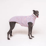Greyhound dog wearing Snootly fluffy reversible sleeveless sweater in vanilla on white background