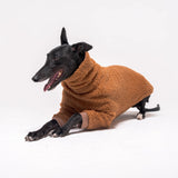 Greyhound dog wearing Snootly fluffy reversible sweater in caramel on white background