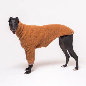 Greyhound dog wearing Snootly fluffy reversible sweater in caramel on white background
