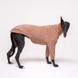 Greyhound dog wearing Snootly fluffy reversible sweater in caramel on white background