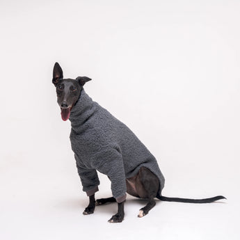 Greyhound dog wearing Snootly fluffy reversible sweater in charcoal grey on white background