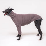 Greyhound dog wearing Snootly fluffy reversible sweater in charcoal grey on white background