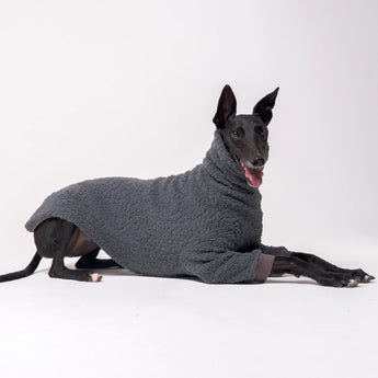 Greyhound dog wearing Snootly fluffy reversible sweater in charcoal grey on white background