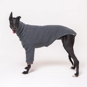 Greyhound dog wearing Snootly fluffy reversible sweater in charcoal grey on white background