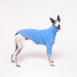 Greyhound dog wearing Snootly fluffy reversible sweater in cornflower blue on white background