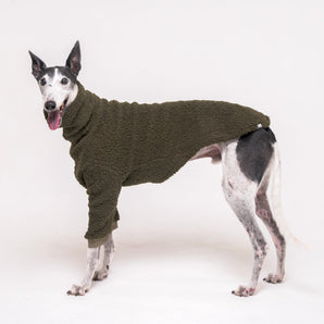 Greyhound dog wearing Snootly fluffy reversible sweater in khaki green on white background
