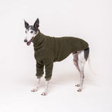Greyhound dog wearing Snootly fluffy reversible sweater in khaki green on white background