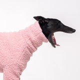 Greyhound dog wearing Snootly fluffy reversible sweater in marshmallow pink on white background