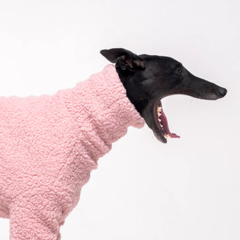 Greyhound dog wearing Snootly fluffy reversible sweater in marshmallow pink on white background