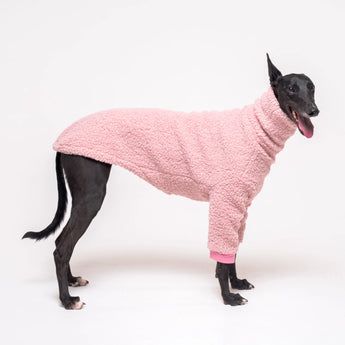 Greyhound dog wearing Snootly fluffy reversible sweater in marshmallow pink on white background
