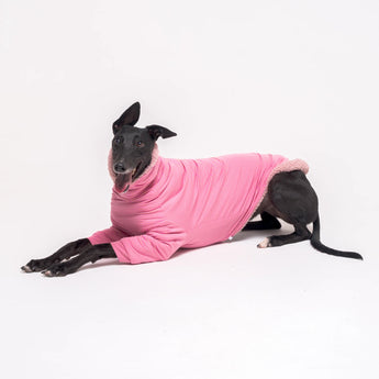 Greyhound dog wearing Snootly fluffy reversible sweater in marshmallow pink on white background