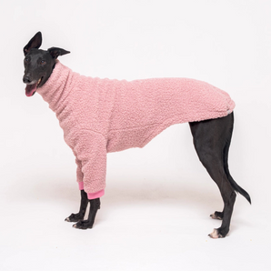 Greyhound dog wearing Snootly fluffy reversible sweater in marshmallow pink on white background