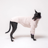 Greyhound dog wearing Snootly fluffy reversible sweater in vanilla on white background