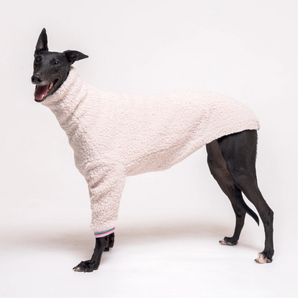 Greyhound dog wearing Snootly fluffy reversible sweater in vanilla on white background