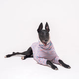 Greyhound dog wearing Snootly fluffy reversible sweater in vanilla on white background