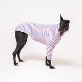 Greyhound dog wearing Snootly fluffy reversible sweater in vanilla on white background
