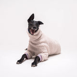 Greyhound dog wearing Snootly fluffy reversible sweater in vanilla on white background