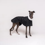 Greyhound dog wearing Snootly Winter coat jacket in black with fleece lining on white background