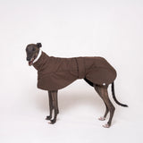 Greyhound dog wearing Snootly Winter coat jacket in chocolate brown with fleece lining on white background
