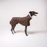 Greyhound dog wearing Snootly Winter coat jacket in chocolate brown with fleece lining on white background