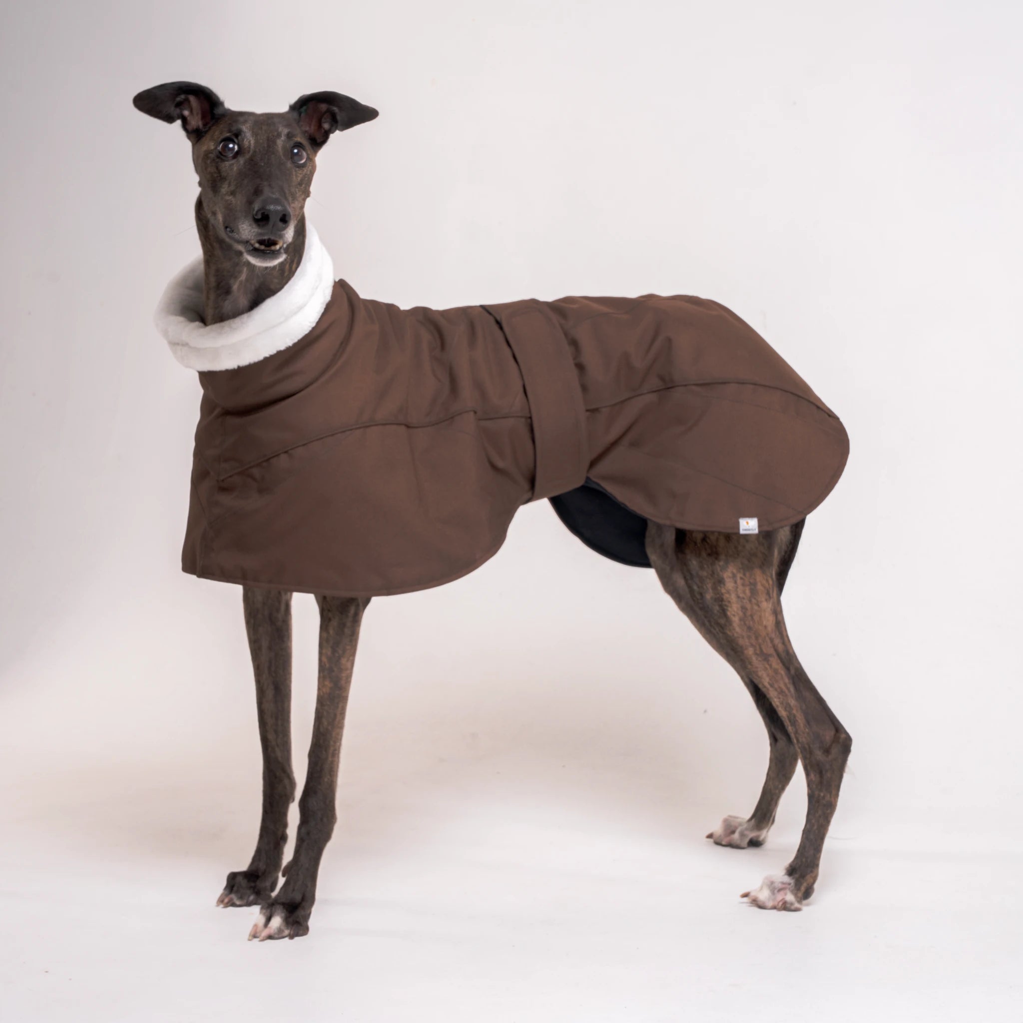 Greyhound Winter Coat Chocolate Snootly greyhound-winter-coat-chocolate-snootly