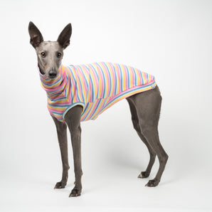 Whippet Ribbed Sleeveless Sweater - Sherbet Stripe