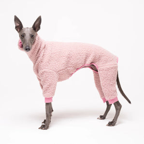 Whippet dog wearing Snootly fleece fluffy reversible onesie in marshmallow pink on white background