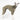 Whippet wearing a fluffy reversible onesie in khaki right side reverse