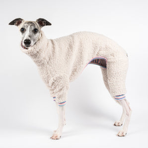 Whippet wearing a fluffy reversible onesie in vanilla left side