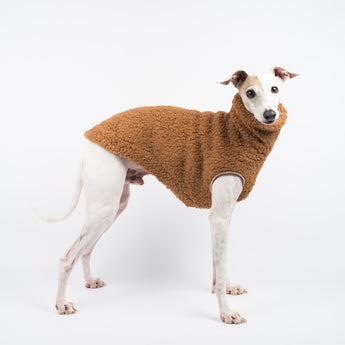 Italian Greyhound dog wearing a fluffy reversible sleeveless sweater/jumper in caramel/brown colour standing right side on
