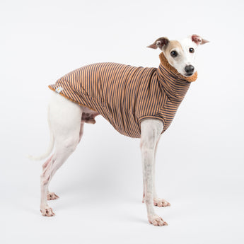 Italian Greyhound dog wearing a fluffy reversible sleeveless sweater/jumper in caramel/brown colour reverse side standing right side on
