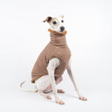 Italian Greyhound dog wearing a fluffy reversible sleeveless sweater/jumper in caramel/brown colour reverse side sitting