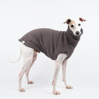 Italian Greyhound dog wearing a fluffy reversible sleeveless sweater/jumper in charcoal/grey colour reverse side standing right side on