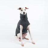 Italian Greyhound dog wearing a fluffy reversible sleeveless sweater/jumper in charcoal/grey colour sitting front on